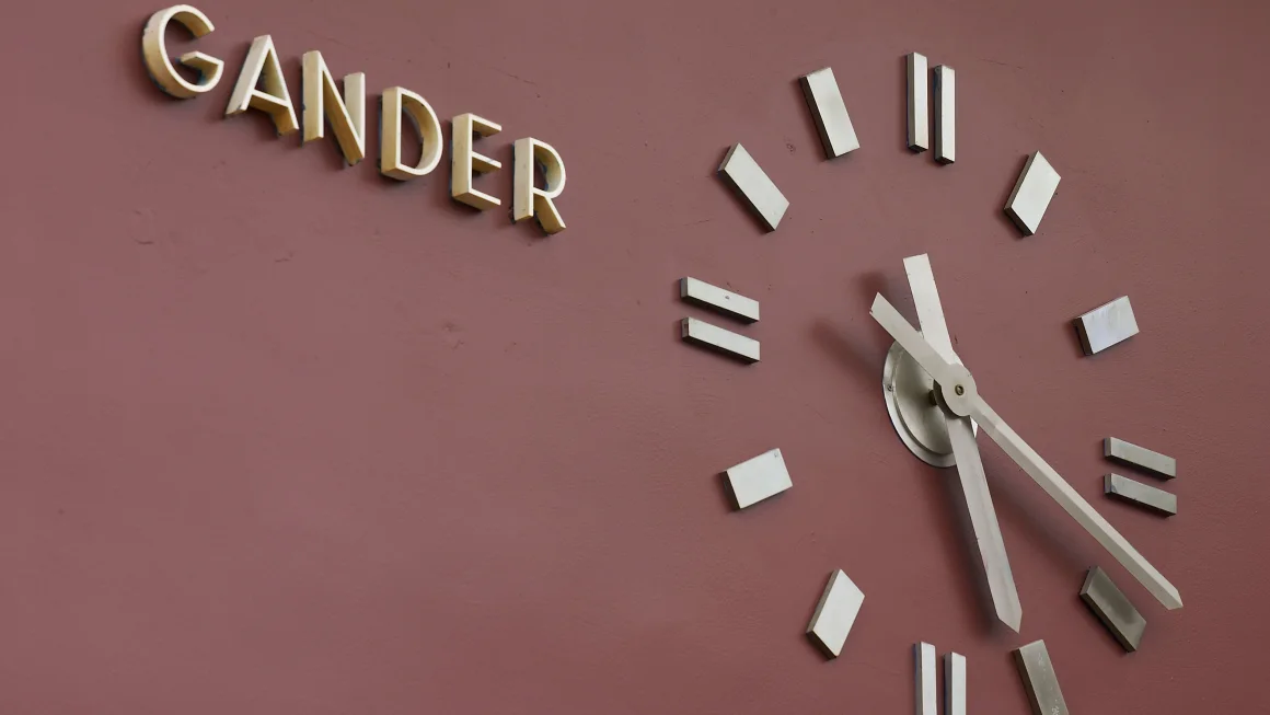 Gander Terminal