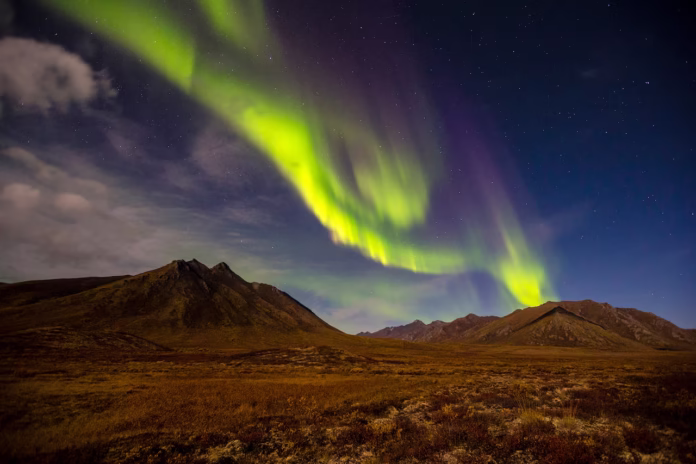 Northern Lights Whitehorse Yukon Northern Lights in Canada: Complete Guide to the Best Viewing Locations and Times in 2026