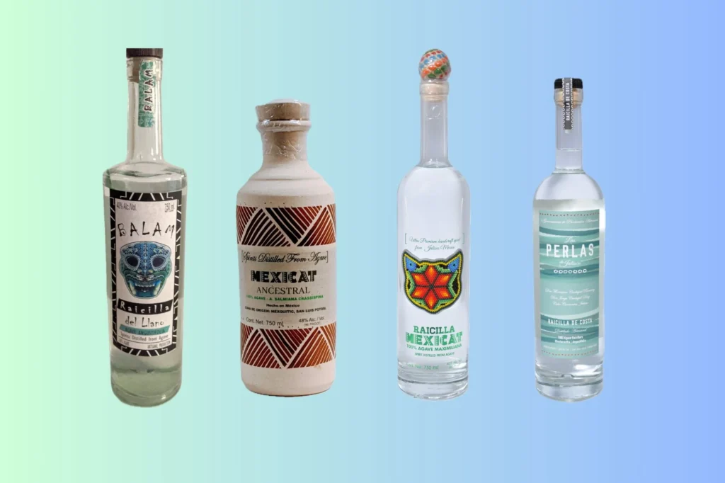 Agave Wine Sales Surge as Lower-ABV Drinks Gain Popularity 1 Agave Wine Sales Surge as Lower-ABV Drinks Gain Popularity