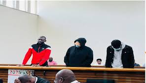 Trial Begins for 3 Accused of Stealing $580,000 at Ramaphosa Farm