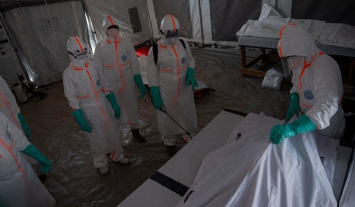 Ebola outbreak in France 