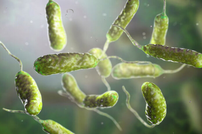 An illustration of the flesh-eating bacteria